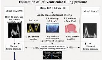 Arbre décisionnel de l'estimation des pressions de remplissage du ventricule gauche, intégrant le strain réservoir atrial comme critère de recours.