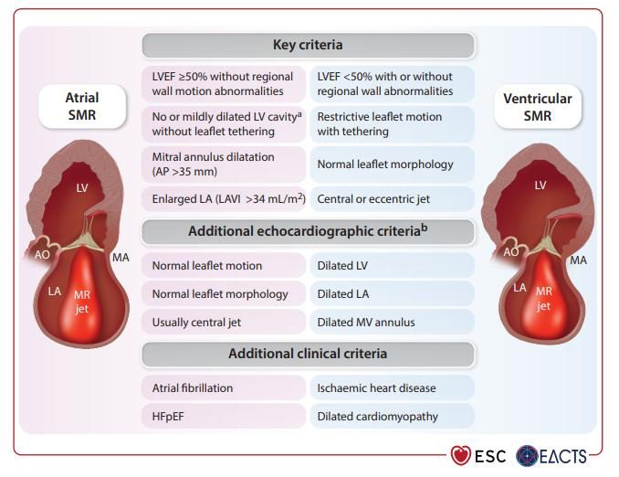 Schéma comparatif des deux mécanismes d'insuffisance mitrale secondaire, atriale à gauche et ventriculaire à droite, avec les structures cardiaques et le jet de régurgitation.