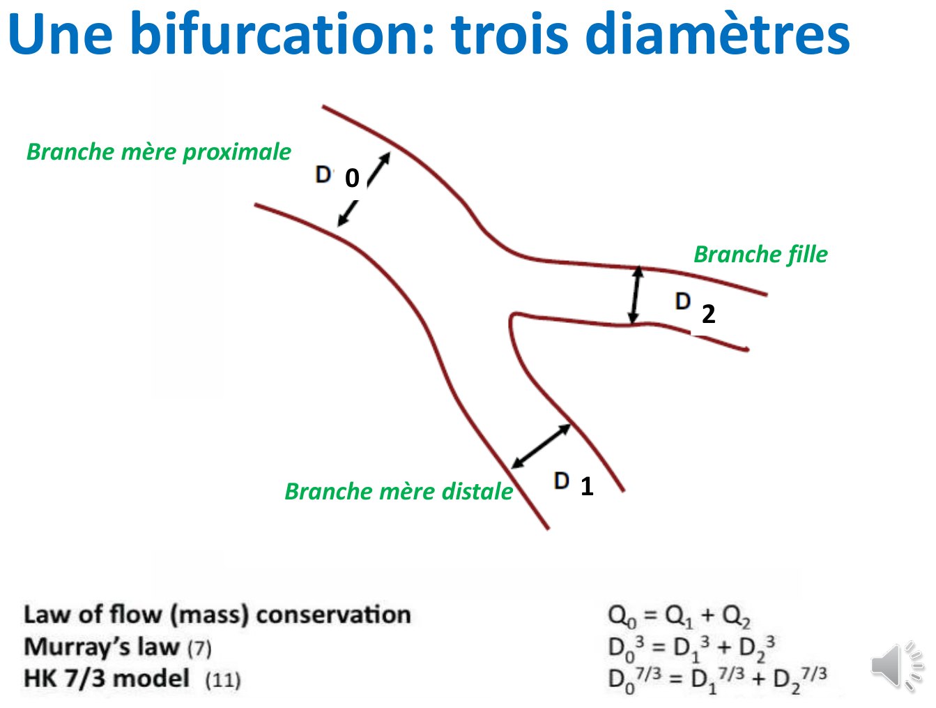 Schéma d'une bifurcation coronaire dont les trois segments sont fléchés et nommés — branche mère proximale, branche mère distale, branche fille — accompagné des trois relations mathématiques de conservation du débit et des diamètres.