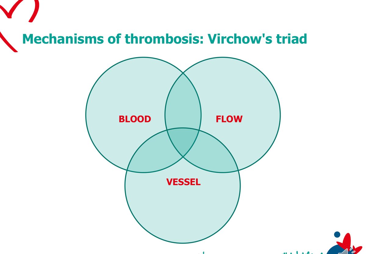 Diagramme de trois cercles se recouvrant figurant la triade de Virchow : le sang, le flux et la paroi vasculaire.