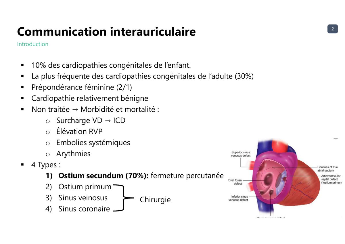 Schéma du septum interauriculaire montrant les quatre localisations de communication : fosse ovale, sinus venosus supérieur et inférieur, septum atrio-ventriculaire et sinus coronaire.