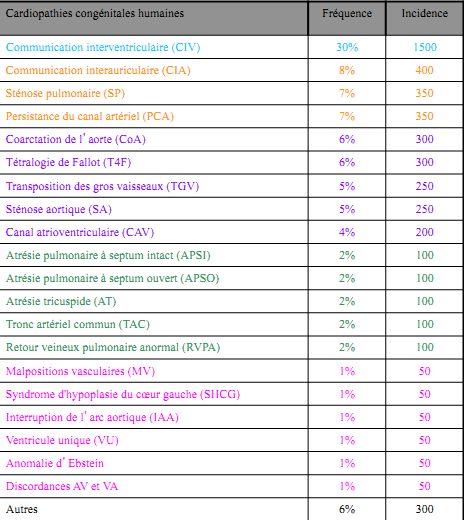 Figure 2 — La hiérarchie des cardiopathies congénitales. Pour chaque malformation, la fréquence relative en pourcentage et une colonne « Incidence » dont l'unité n'est pas portée sur le tableau : elle s'exprime par million de naissances vivantes, comme le confirme la somme de la colonne. Retenez l'ordre des huit premières lignes : la communication interventriculaire écrase tout avec 30 %, suivie de la communication interauriculaire à 8 %, puis de la sténose pulmonaire et du canal artériel à 7 %, de la coarctation et de la tétralogie de Fallot à 6 %, de la transposition et de la sténose aortique à 5 %, du canal atrio-ventriculaire à 4 %. Les formes les plus lourdes — atrésies, tronc artériel commun, retour veineux anormal, hypoplasie du ventricule gauche, ventricule unique — se situent toutes entre 1 et 2 %. Une remarque de méthode : la somme des incidences de ce tableau avoisine 5 000 par million, soit 5 pour 1 000, chiffre inférieur aux 8 à 9 pour 1 000 des registres récents qui comptent en plus les petits défauts musculaires dépistés au Doppler couleur.